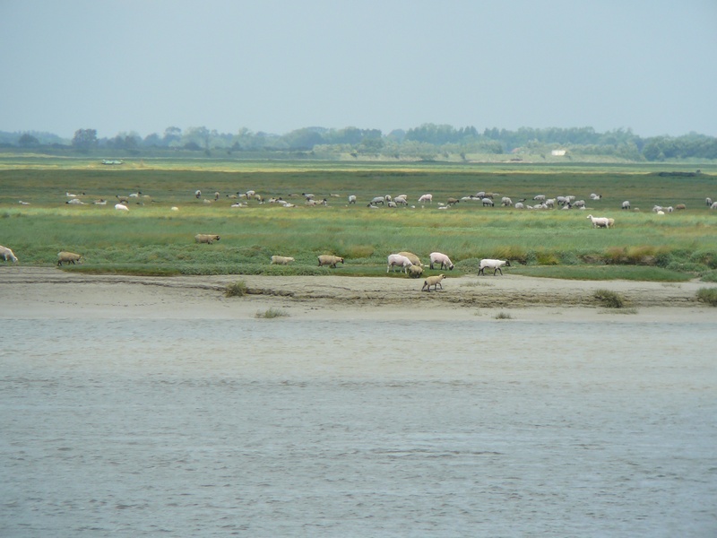 Promenade le long de la baie à Saint-Valéry-sur-Somme